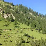 Binsalm- Schutzhuette Gospodarstwo agroturystyczne