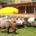 Binsalm- Schutzhuette Gospodarstwo agroturystyczne Vomp