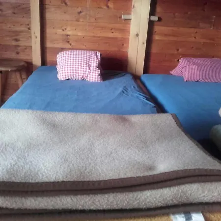 Binsalm- Schutzhuette *