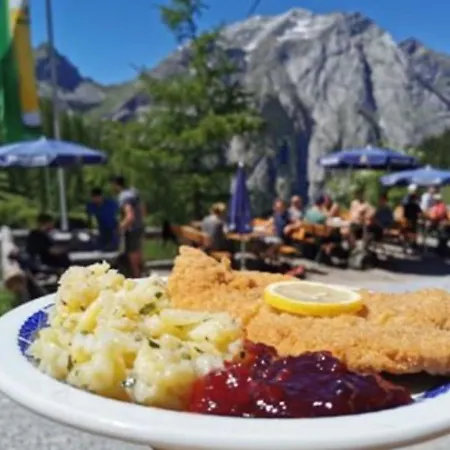 Κατάλυμα σε φάρμα Binsalm- Schutzhuette *