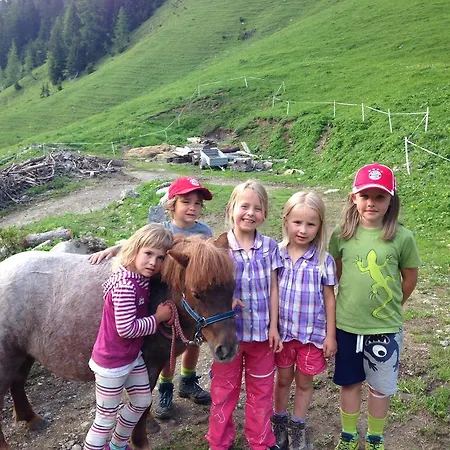 Binsalm- Schutzhütte