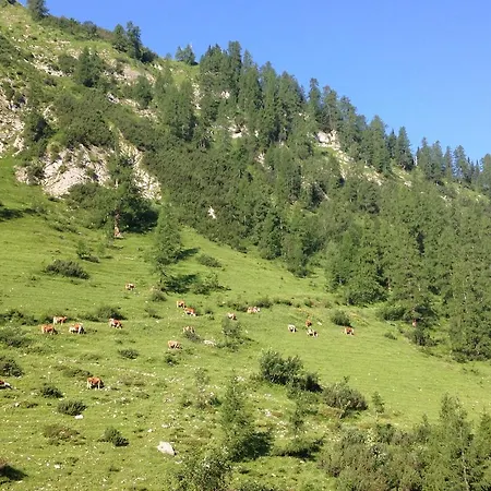 Binsalm- Schutzhuette Séjour à la ferme