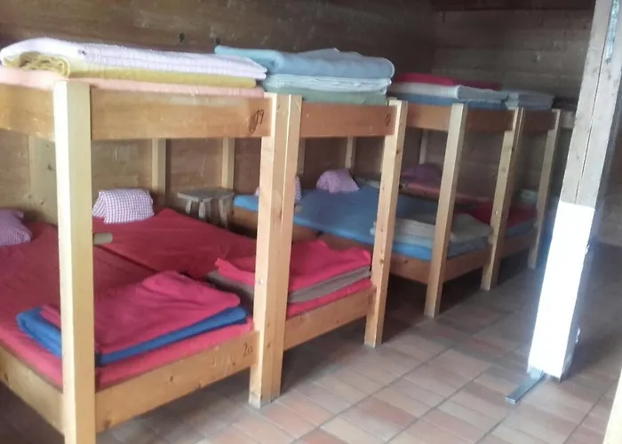 ファームステイ Binsalm- Schutzhuette *