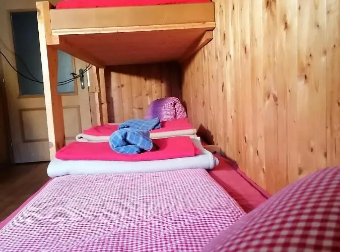 Binsalm- Schutzhütte *