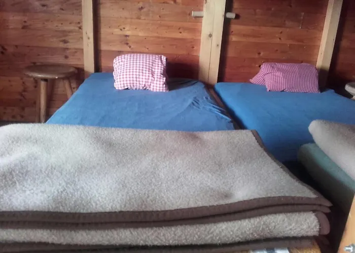 Binsalm- Schutzhütte *