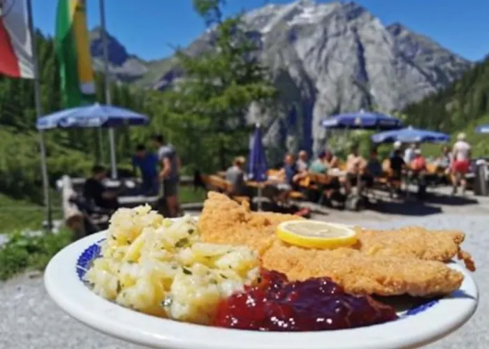 Bauernhof Binsalm- Schutzhütte *