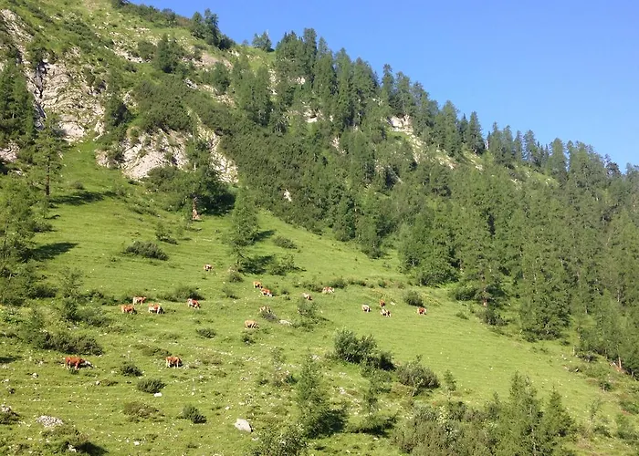 Binsalm- Schutzhütte Bauernhof