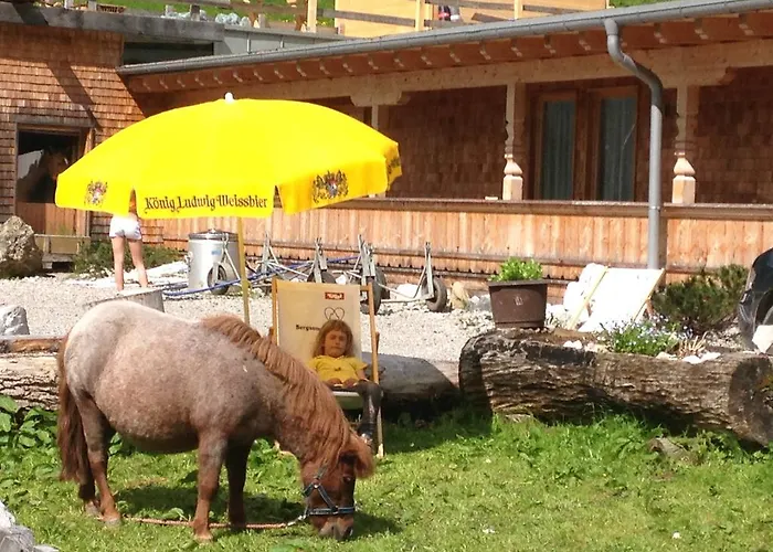 Binsalm- Schutzhütte Bauernhof Vomp