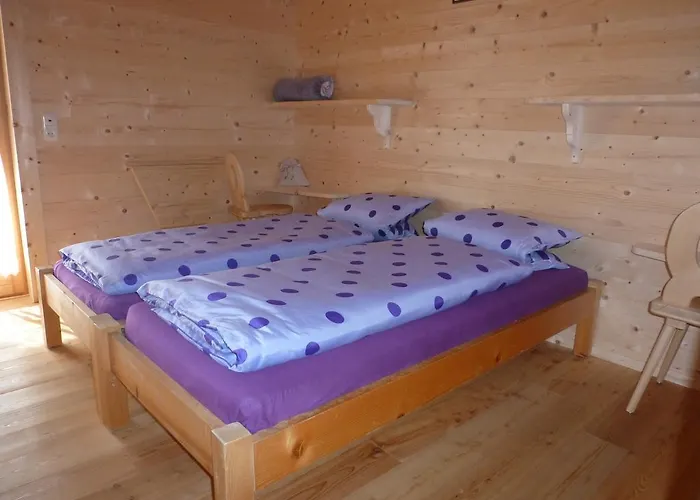 Binsalm- Schutzhütte Bauernhof *